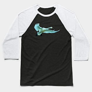 Bewick Swan about to land Baseball T-Shirt